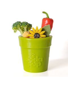 Flower Pot - SodaPup