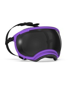 Rex Specs V2 -Goggles